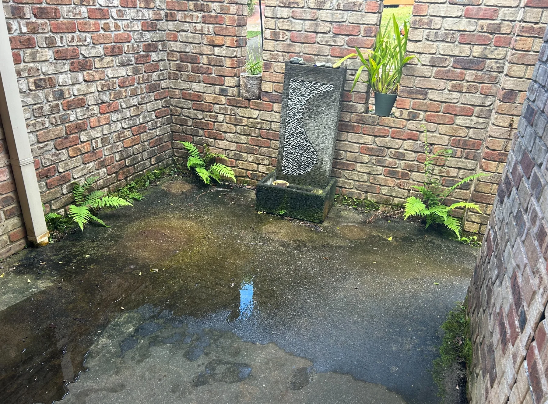The same concrete entryway after cleaning