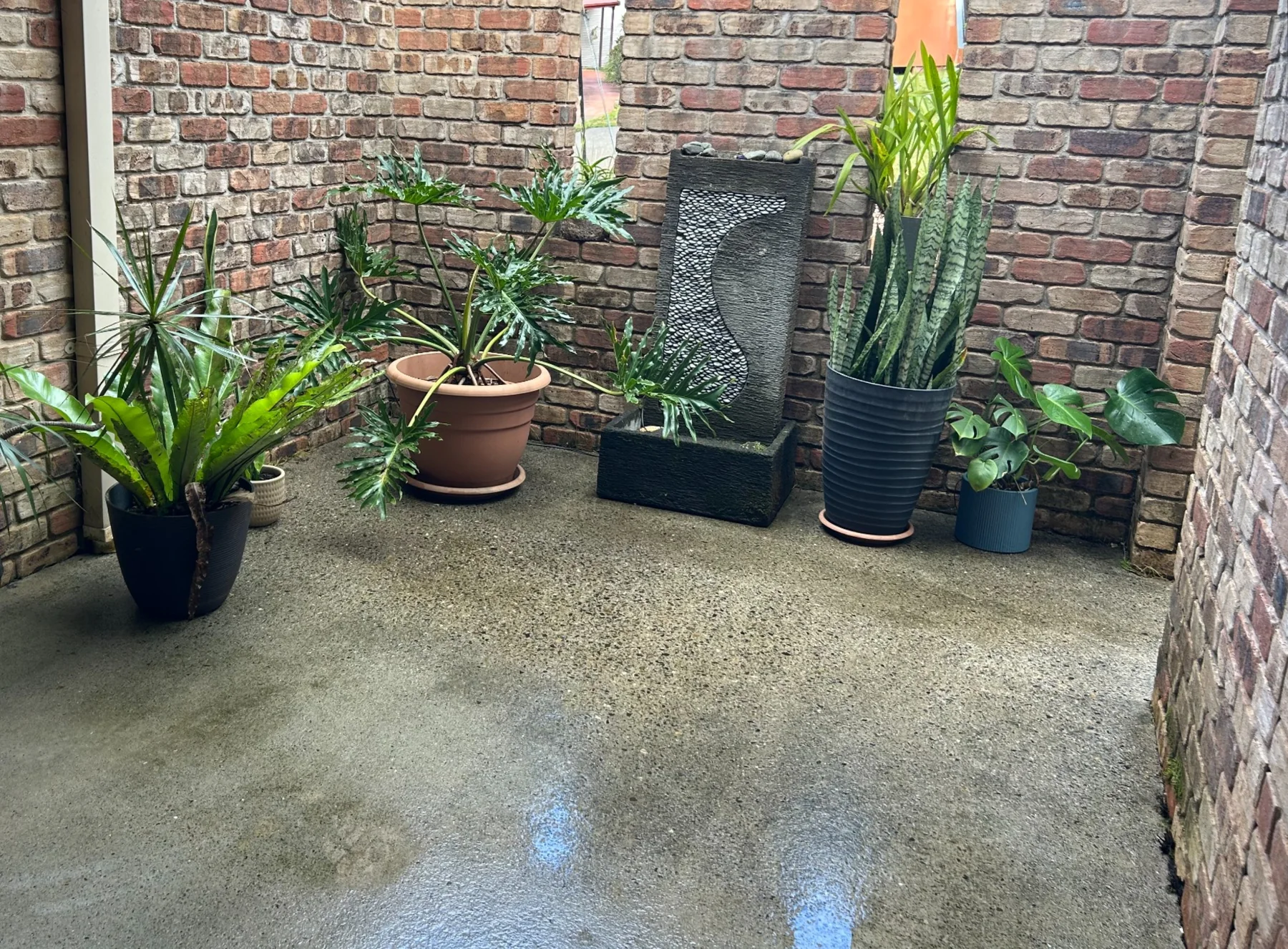 Concrete entryway before cleaning